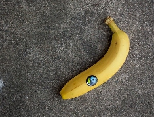 Fair trade relies entirely on ethical consumers and responsible producers. © Isaac Fryxelius, Pixabay