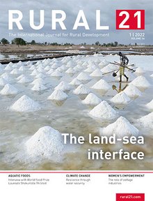 A person works on a salt farm, surrounded by conical salt piles, featured on the cover of a journal about rural development.