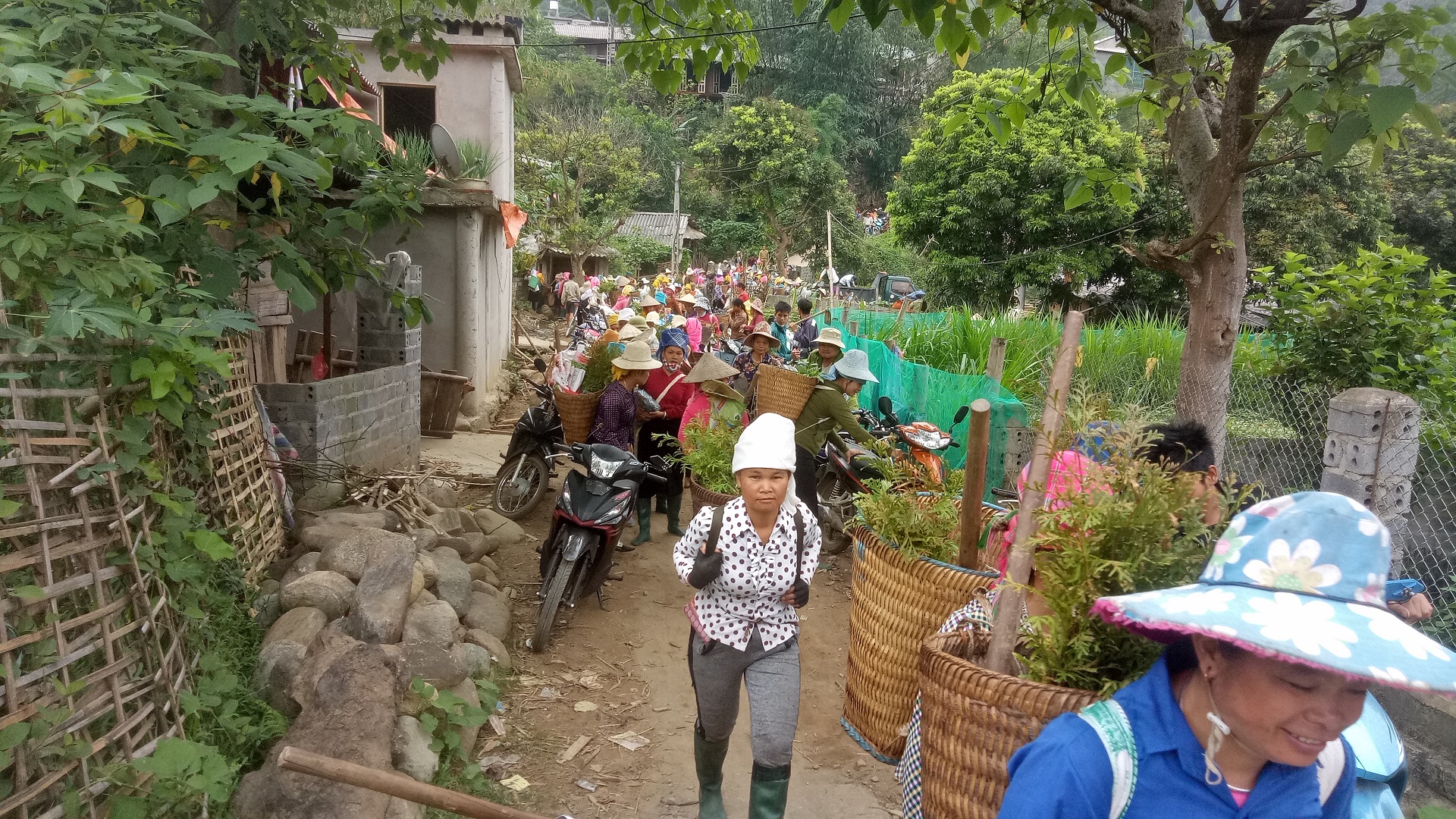 Transport of the seedlings in Tram Tau, Vietnam © GIZ_Photothek