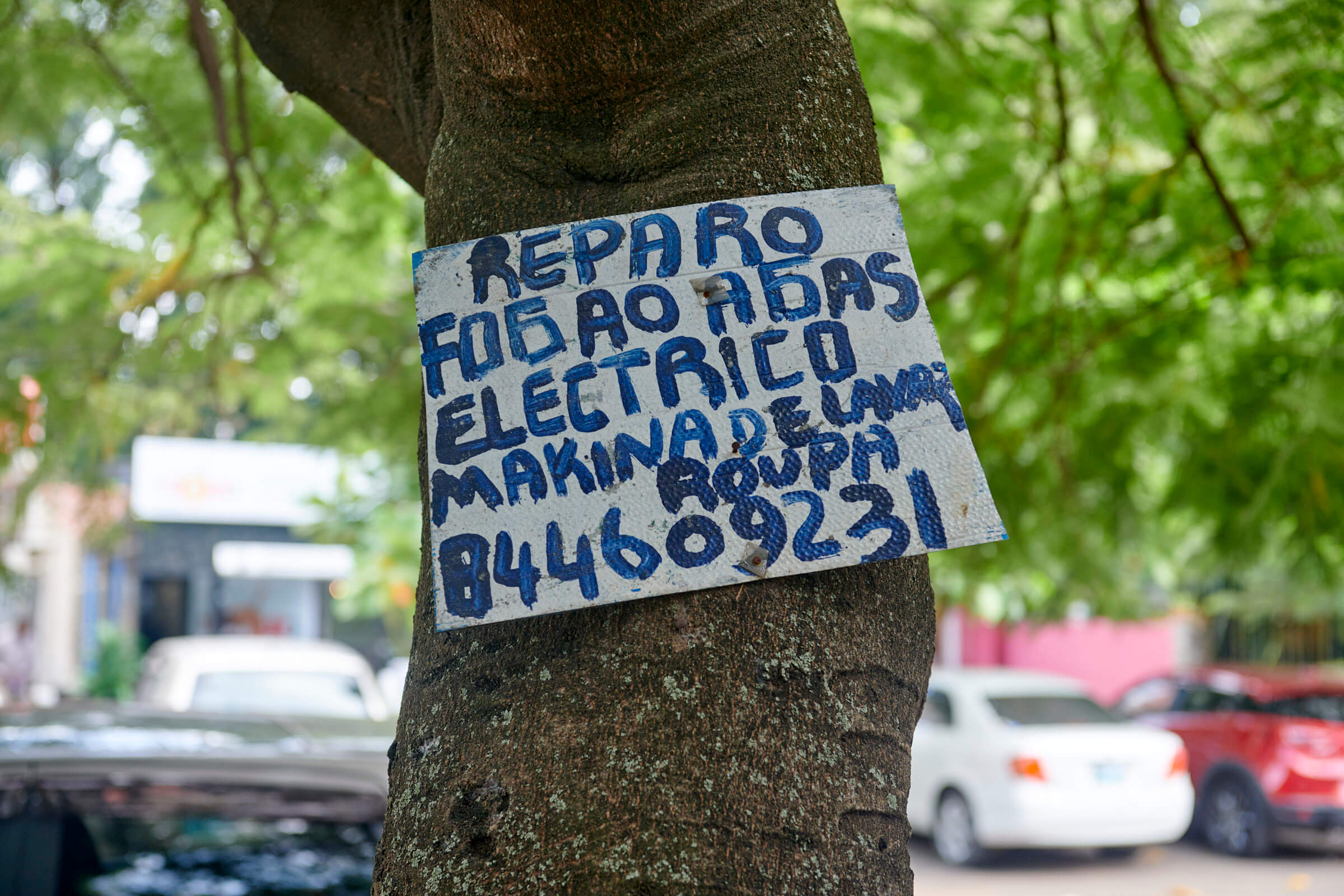 Ein handgemaltes Schild an einem Baum wirbt für Reparaturdienstleistungen mit einer Telefonnummer.