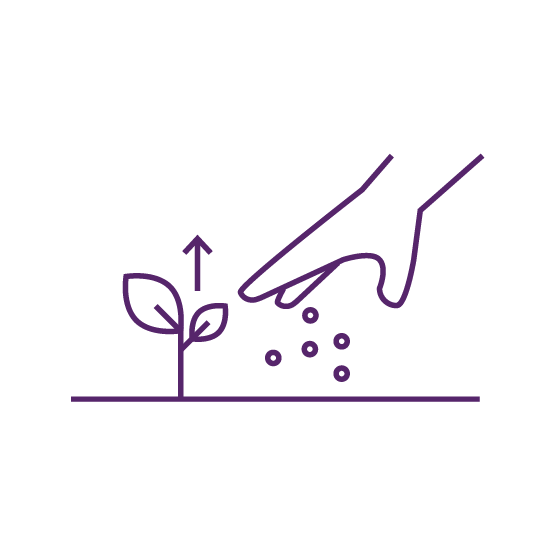Eine stilisierte Zeichnung zeigt eine Hand, die Samen neben einer kleinen Pflanze in die Erde streut.