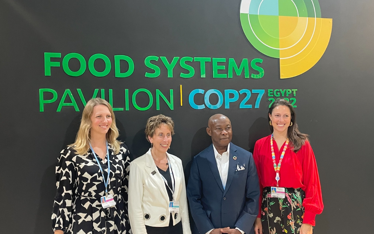 Von links nach rechts: Felicitas Rörig (BMZ), Diane Holdorf (Moderation & WBCSD), Michael O. Okoroafor (Mc. Cormick & Co.), Viktoria de Bourbon de Parme (WBA) beim G7 SSCI Side Event der COP27. © GIZ, 2022