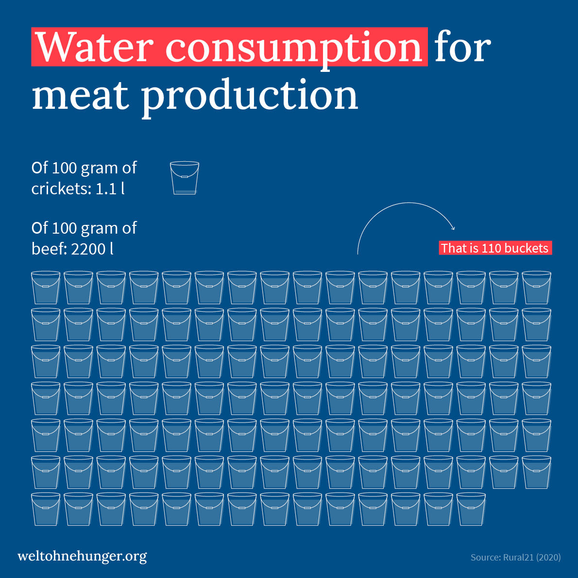 The infographic illustrates water consumption by comparing 1.1 liters for crickets and 2200 liters for beef production.