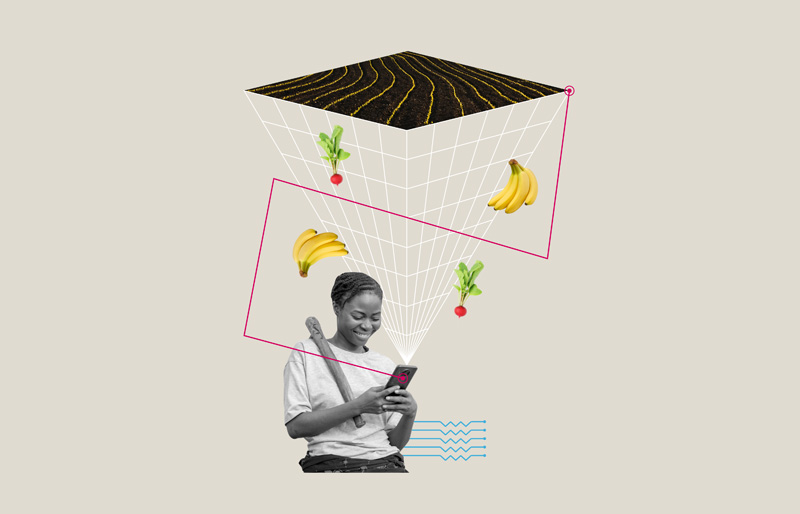 Eine Frau nutzt ein Smartphone, um landwirtschaftliche Daten zu analysieren, während Bananen und Gemüse in der Collage schweben.