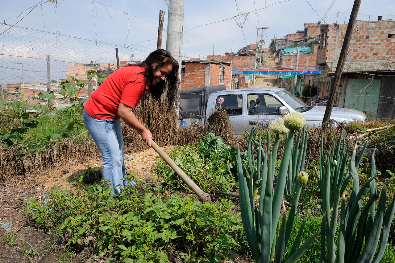 A woman in a red shirt tends a community garden with a hoe, surrounded by urban buildings and a parked car.