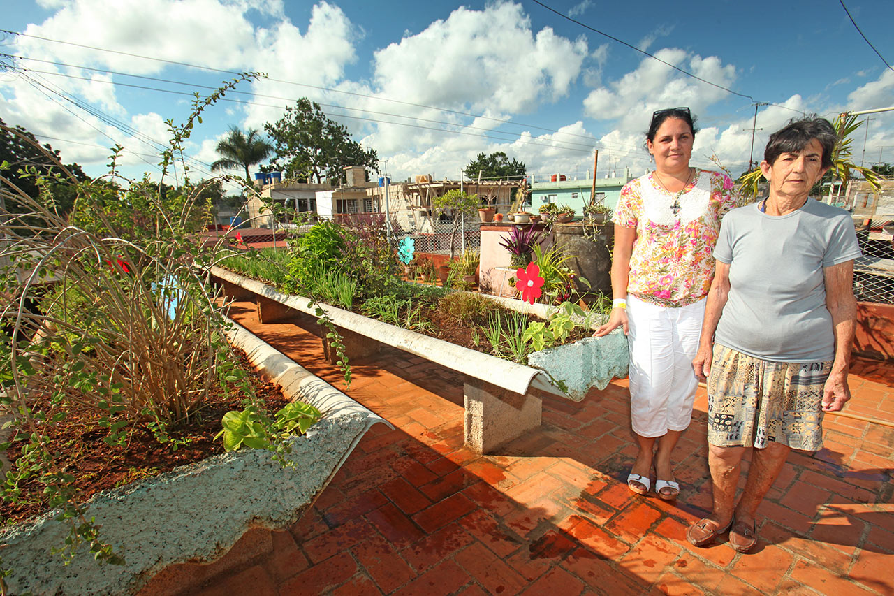 Two women stand beside a rooftop garden filled with lush plants under a bright blue sky.