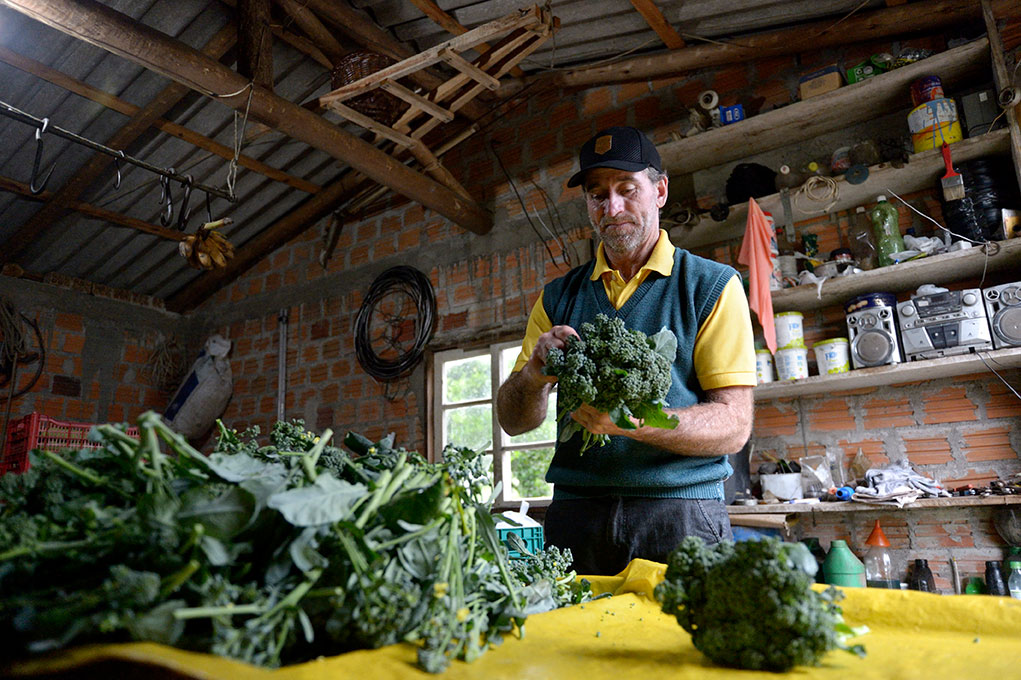 Ein Mann in einer rustikalen Hütte sortiert frischen Brokkoli auf einem Tisch voller Gemüse.