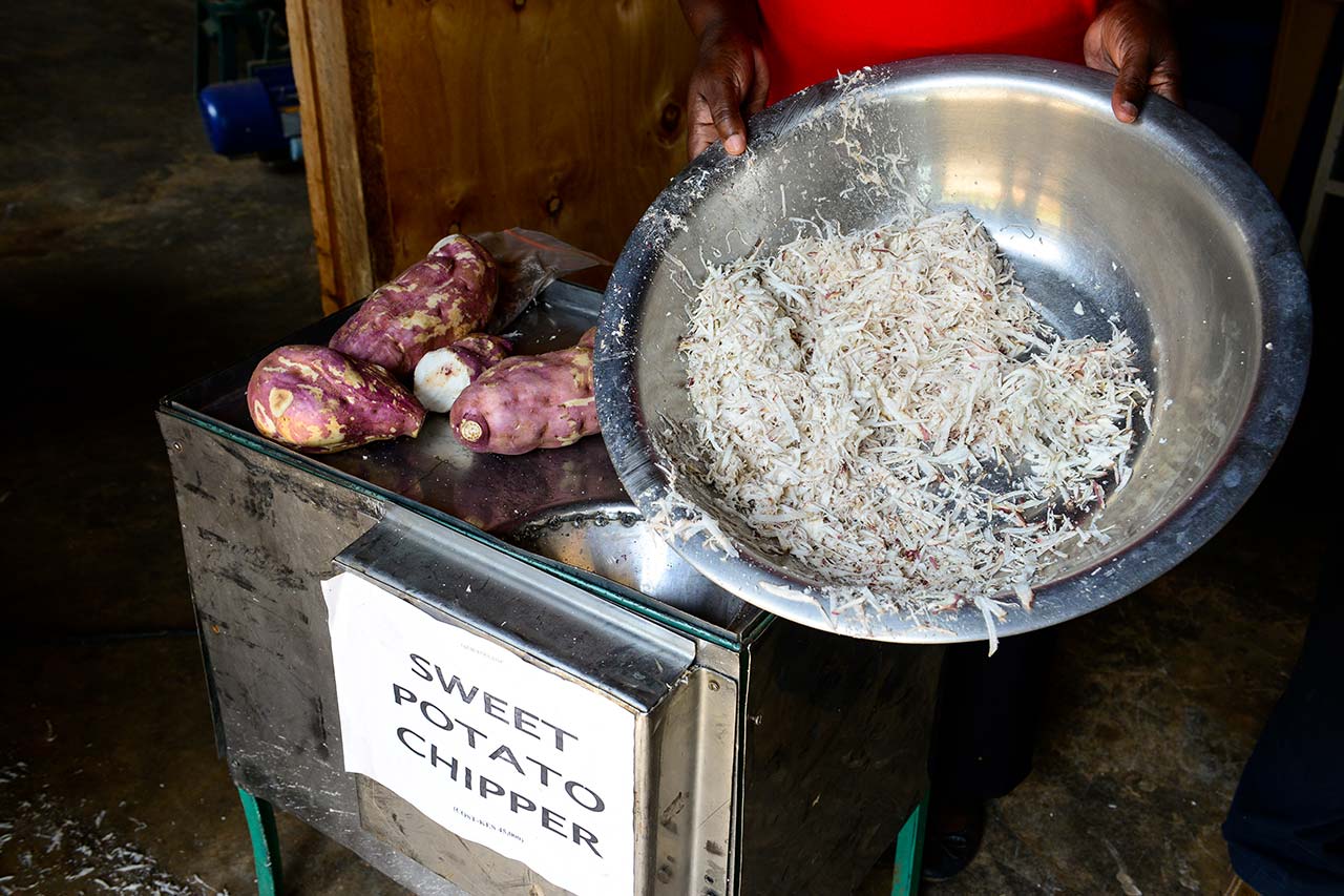 A person holds a large bowl of freshly chipped sweet potatoes next to a machine labeled "Sweet Potato Chipper" in Kenya.