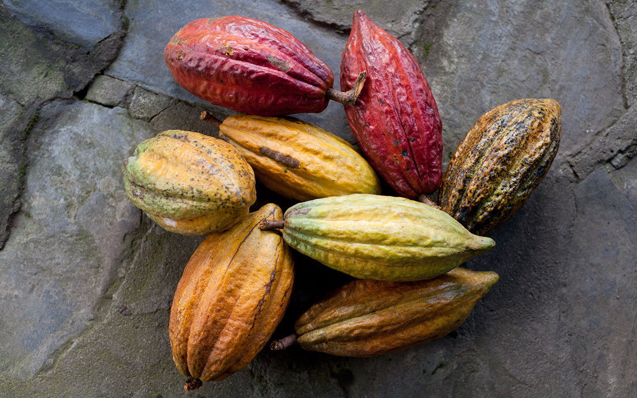 Ich bin ein Alternativtext