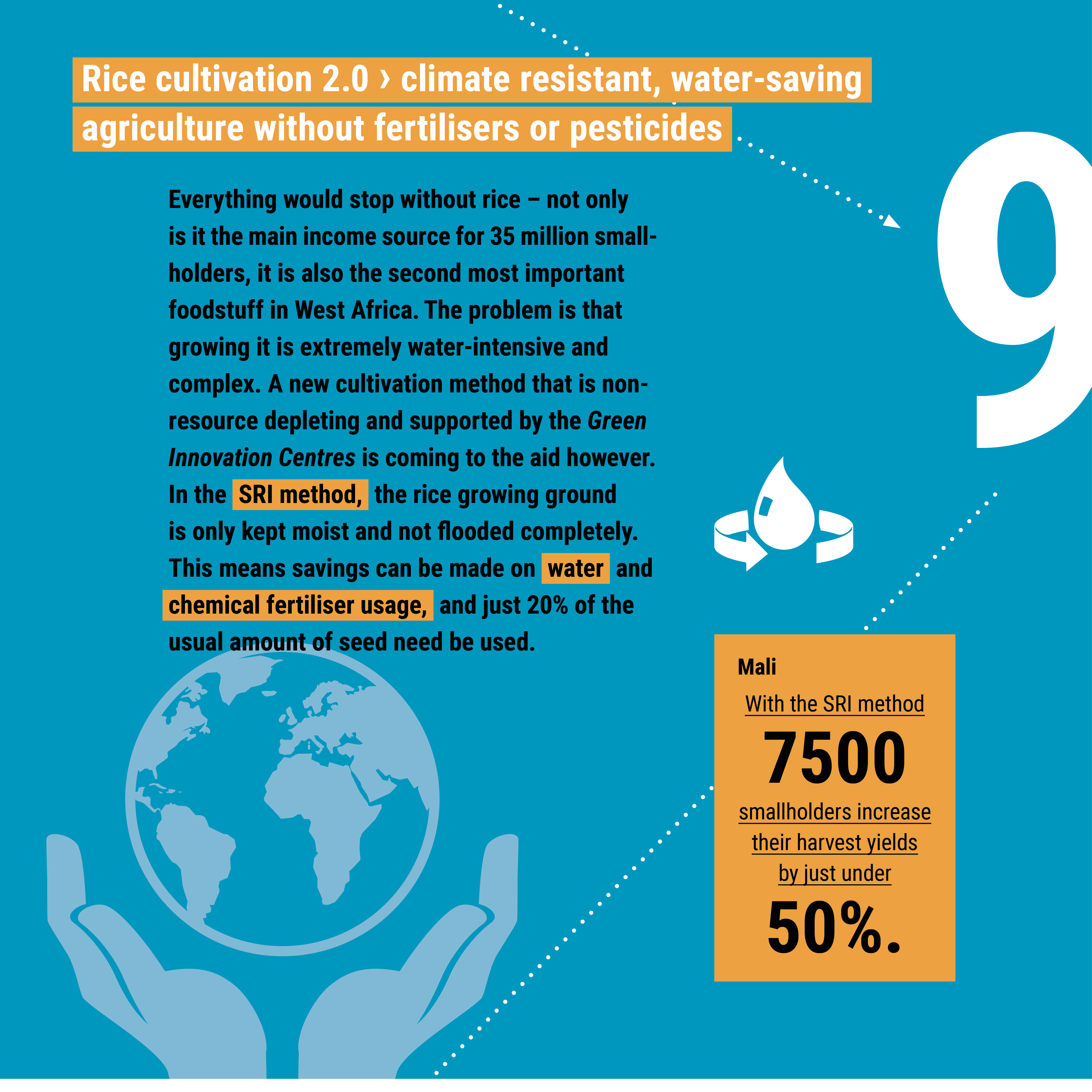 Infographic on rice cultivation highlights climate-resistant, water-saving methods reducing fertilizer use and increasing yields.