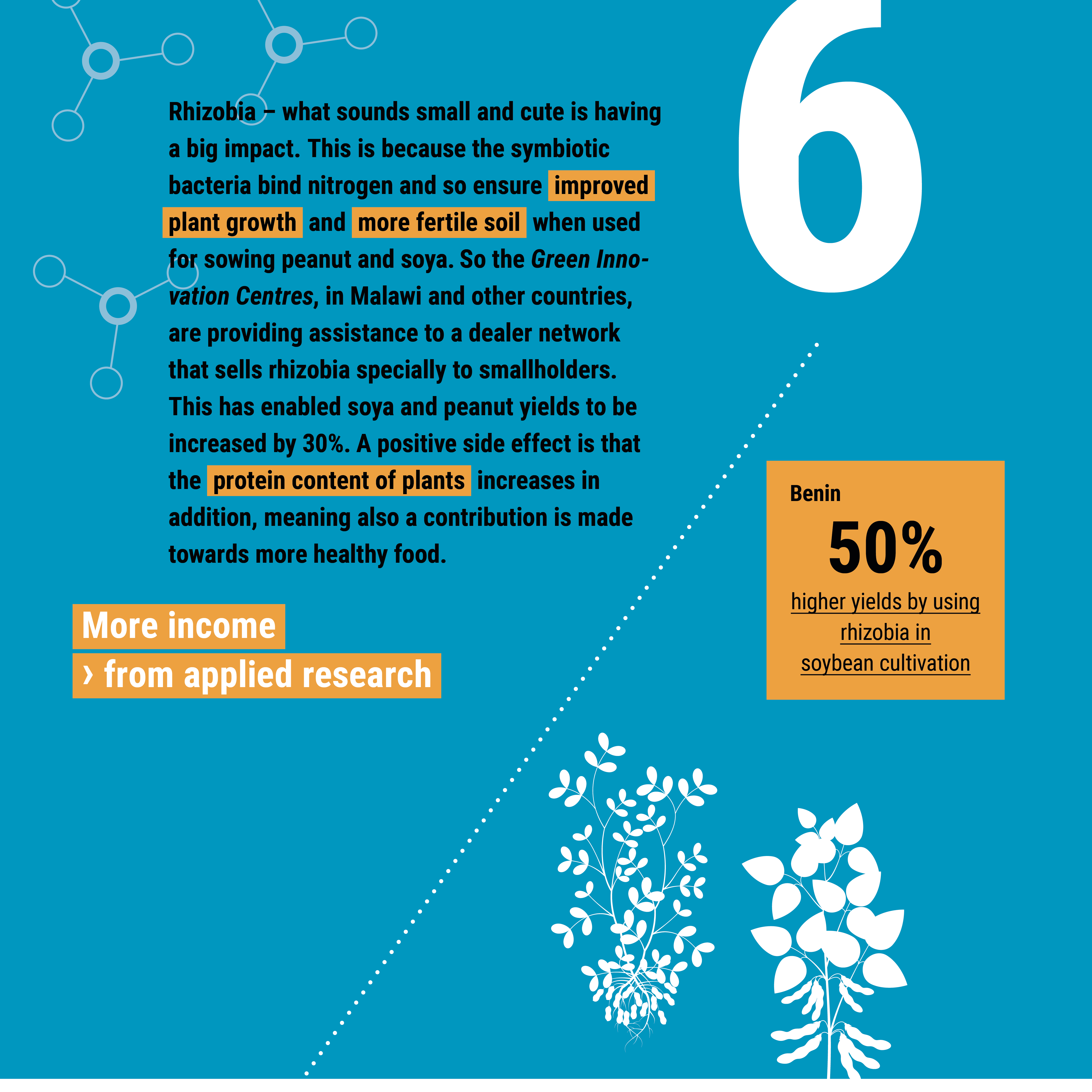 Infographic highlighting rhizobia's role in boosting plant growth, soil fertility, and soybean yield in Benin by 50%.