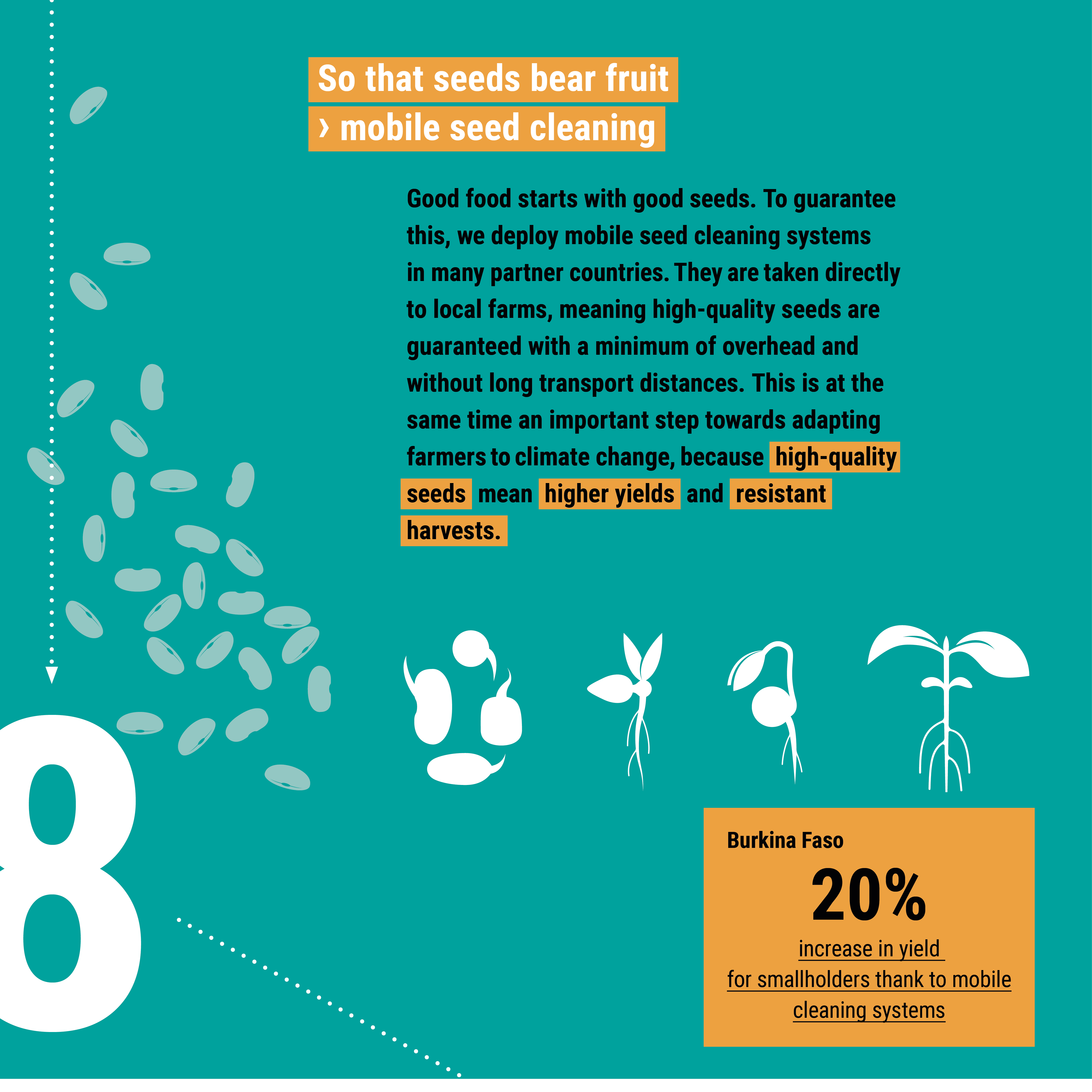 Infographic highlights innovations in mobile seed cleaning, showing seed growth stages and a 20% yield increase in Burkina Faso.